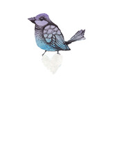 Blue bird on a branch. Flying birds on the watercolor  sky background.  Sweet illustration , white hard. 