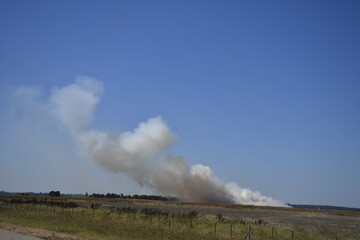 Fototapeta na wymiar Smoke in the farms, Arkansas