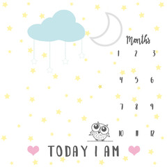 Baby Milestone Blanket, Cute blanket design for newborns, Neutral Colours