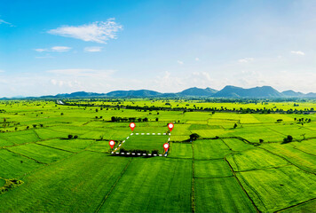 agricultural plant. Tract of land for housing subdivision, development, owned, sale, rent, buy or...