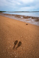Vertical shot of footprints at the empty Bushland beach in Far North Queensland, Australia