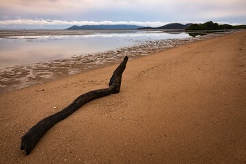 Scenic shot of the empty Bushland beach in Far North Queensland, Australia