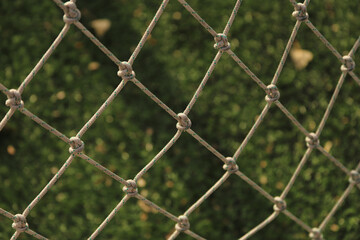 Fototapeta premium chain link fence with green grass