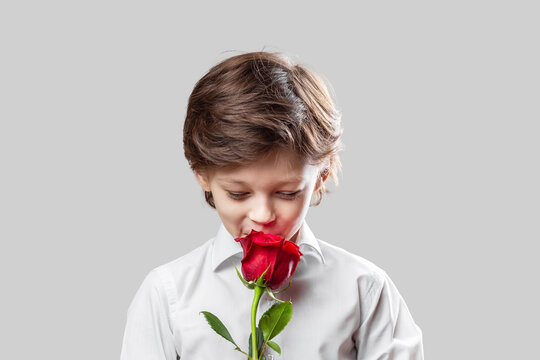 Adorable elegant white boy holding a red rose