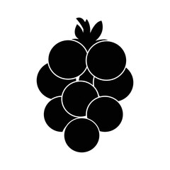 fruit icon