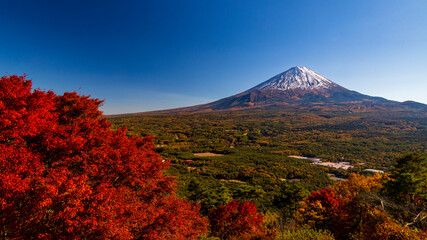 紅葉台から見る富士山と紅葉　山梨　鳴沢村 © Yuuki Kobayashi