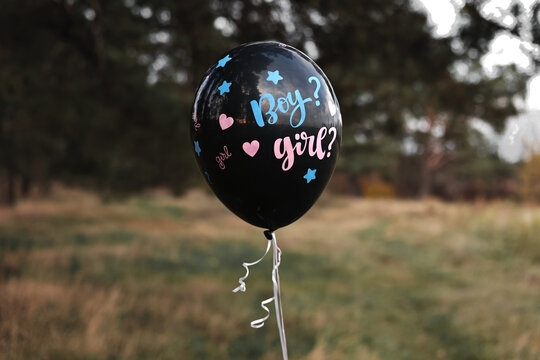 Celebration gender Party on nature. Black baloon with the inscription Boy and Girl moving in the air. Expectant parents are having a gender reveal party. Expecting baby. Baby shower