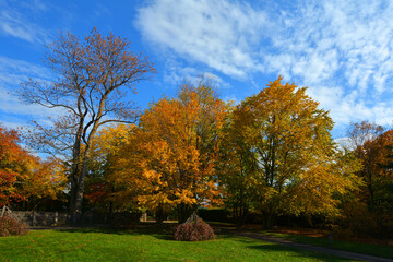 Fototapeta premium North america fall landscape trees from the bottom eastern townships Granby Quebec province Canada