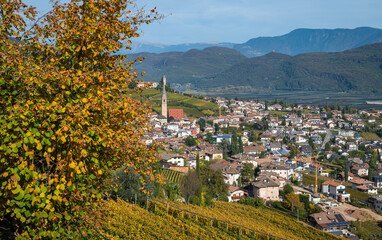 Fototapeta na wymiar Tramin Village (Termeno) along the wine route. Tramin is the wine-growing village of the South Tyrol - province of Bolzano - northern Italy - view of the countryside in autumn - Vineyards in autumn