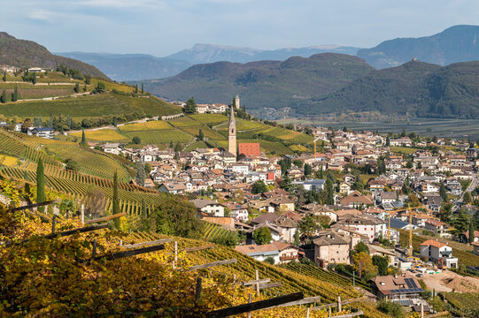 Tramin Village (Termeno) along the wine route. Tramin is the wine-growing village of the South Tyrol - province of Bolzano - northern Italy - view of the countryside in autumn - Vineyards in autumn