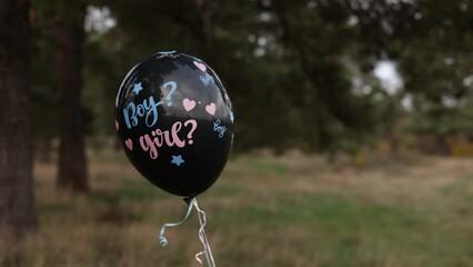 Celebration gender Party on nature. Black baloon with the inscription Boy and Girl moving in the air. Expectant parents are having a gender reveal party. Expecting baby. Baby shower.