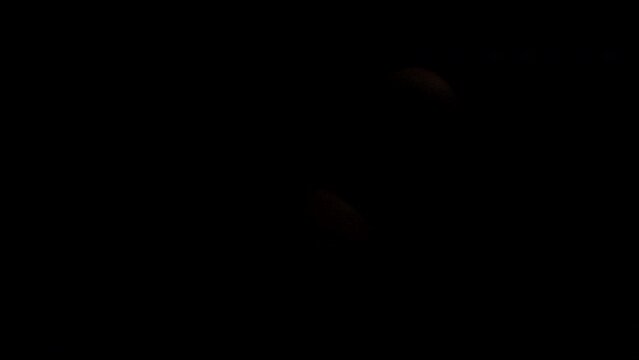 The tamarind in the shell rotates and appears out of the darkness. Black background isolate.