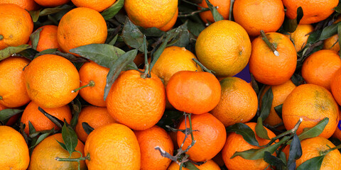 Spanish clementine  is a tangor, a citrus fruit hybrid between a willowleaf mandarin orange and a...