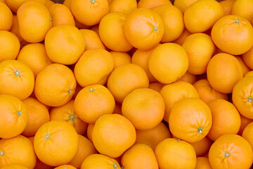 A clementine (Citrus clementina) is a tangor, a citrus fruit hybrid between a willowleaf mandarin...