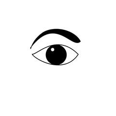 Human right eye icon with eyebrows on plain white background