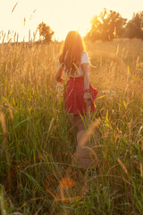 With her back to camera, long-haired girl dressed as hippie walks through field at sunset. copy space