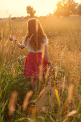 young girl in a field at sunset examines the plants with her back to the camera