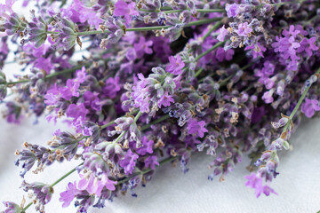 a bouquet of lavender