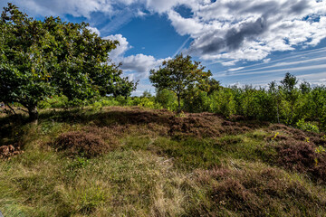 Traumhafte Natur am Meer