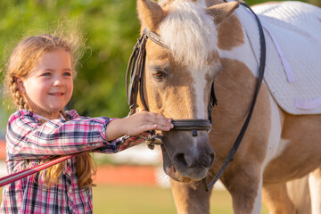 Pony. Landscape. Riding. Summer