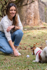Woman playing with Jack Russell dog with toy ball  at the park during a warm sunny day