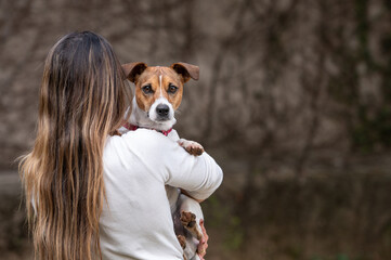 Woman holding Jack Russell dog 