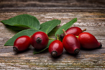 Rosehip berries  (Rosa canina) on wooden table