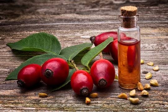 Rosehip seed oil (Rosa canina); with  berries on wooden table. essential oil