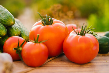Fresh vegetables on a wooden background. Cucumbers, tomatoes, garlic, dill. Contoured sunlight. Organic farm. Organic vegetables. Summer harvest.