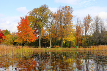 Fall landscape in north america Quebec province Canada