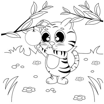 Vector coloring pages with cute tiger cub at the junglereaching for an orange. Cartoon contour illustration isolated on white background