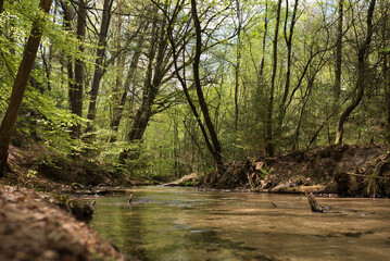 Stream in the forest of the so-called Furlbachtal near the German city of Bielefeld