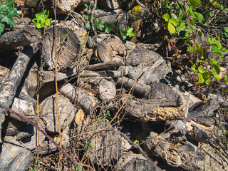 Close up of a pile of firewood piled with ivy and brambles and dry grasses in Llaberia, Catalonia, Spain