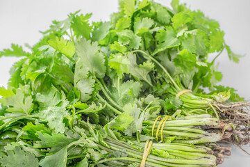 Bunches of parsley on a white background