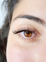 Obraz premium Close up of eyelash Extensions in beauty salon macro eye