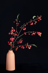 Branches of ornamental apple interra cota vase