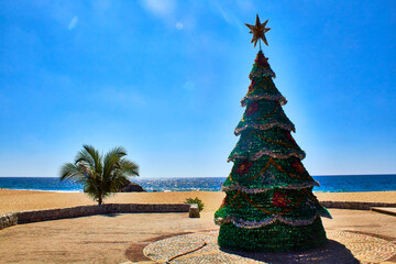 pine tree for christmas on the beach with sea in the background, puerto escondido oaxaca  - obrazy, fototapety, plakaty