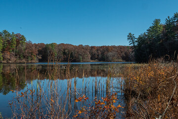 Swan Creek Pond Collection