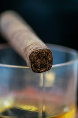 Vertical close-up photo of a cigar on a glass of whiskey. Shallow depth of field