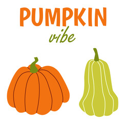Pumpkin of various shapes and colors. Thanksgiving and Halloween Elements. Pumpkin vibe.