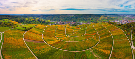 Aerial view of vineyard landscape near Weinstadt in autumn