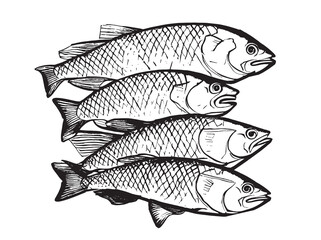 Black and white sketch fish set.Fishing.Vector illustration.