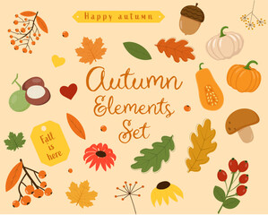 Autumn nature elements big set with leaves, berries, mushroom, acorn, chestnut