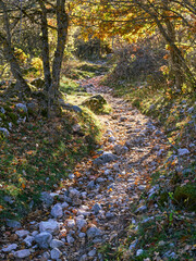 "Val di Rose" walking path in the fall, Abruzzo, Lazio e Molise national park, Italy	