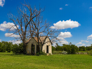 typical derelict abandoned house in an open field next to trees in the southern usa under a blue sky