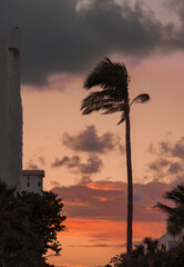sunset at the beach miami palms street 