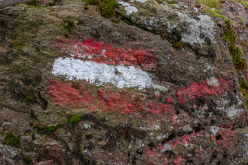 Path mark with Austrian flag painted on a rock in a scenic forest near Ladinger Spitz, Saualpe,...