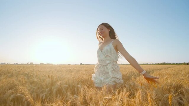 Long-haired woman enjoys running in large golden wheat field under blue sky. Happy lady loves spending sunny day in countryside slow motion