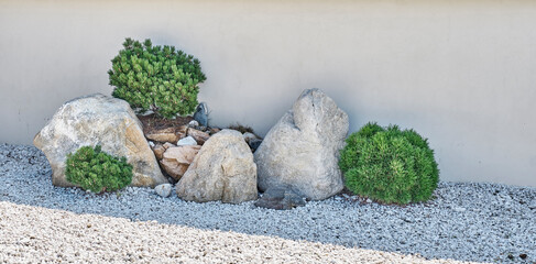 Landscape composition of large stones and decorative coniferous plants near plastered gray wall.