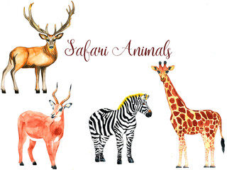 Watercolor safari  animals collection.  Giraffe, zebra, antelope and deer  - obrazy, fototapety, plakaty